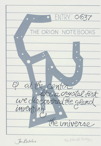 Entry: 0637 / The Orion Notebooks - Print