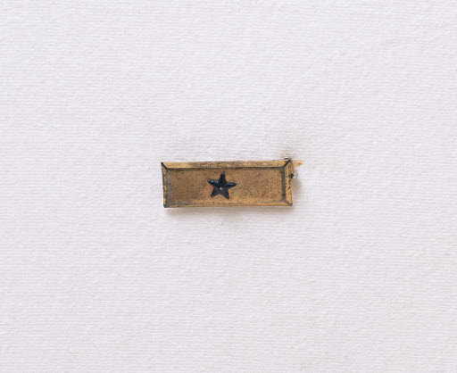 Gold Star Mother's Military Pin - Pin, Military
