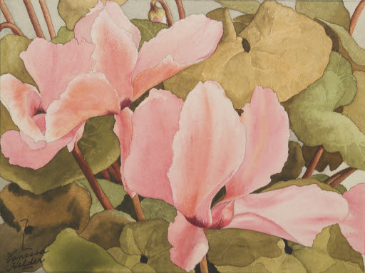 Pink Cyclamen - Painting