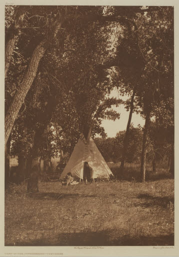Camp in the Cottonwoods-Cheyenne (plate 217; portfolio 6) - Photogravure