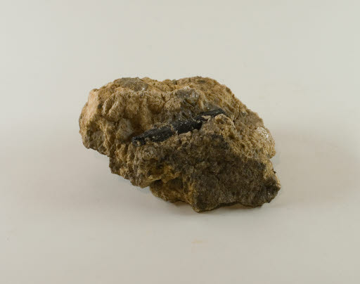 Black Tourmaline Mineral Sample from Mica Peak, WA - Geospecimen