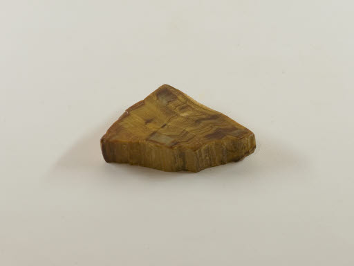Petrified Wood - Pine from Saddle Mountains - Geospecimen