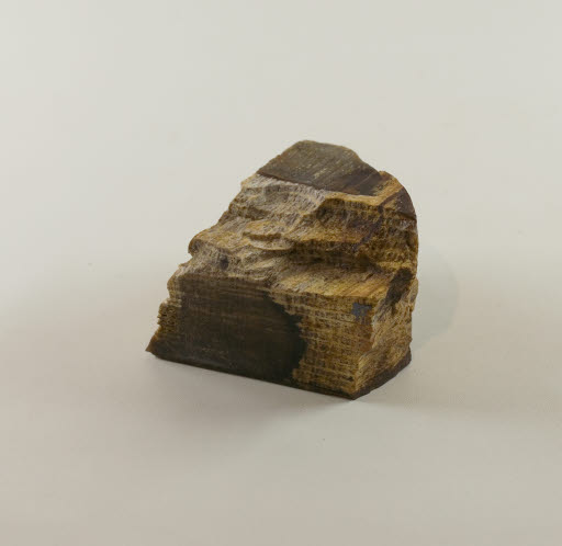 Petrified Wood - Oak from Ginkgo Petrified Forest - Geospecimen
