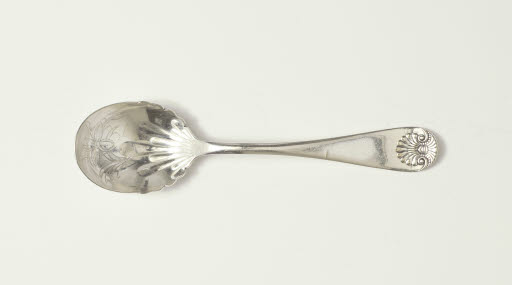 Shell Motif Sugar Spoon - Spoon, Serving; Spoon, Sugar