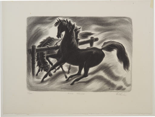 Black Stallions - Print