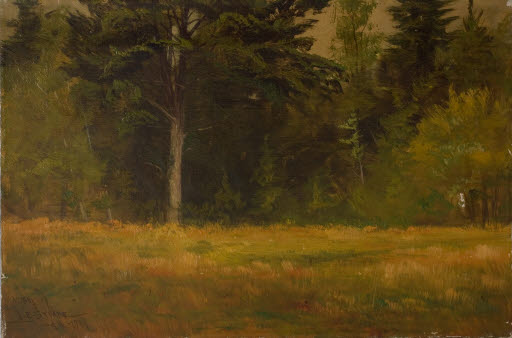 Trees and Meadow on Mt. Desert Island - Painting
