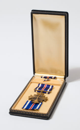 Distinguished Flying Cross Medal and Pin - Pin, Military