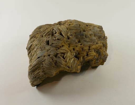 Petrified Wood - Crushed Root from Belmont, Washington - Geospecimen